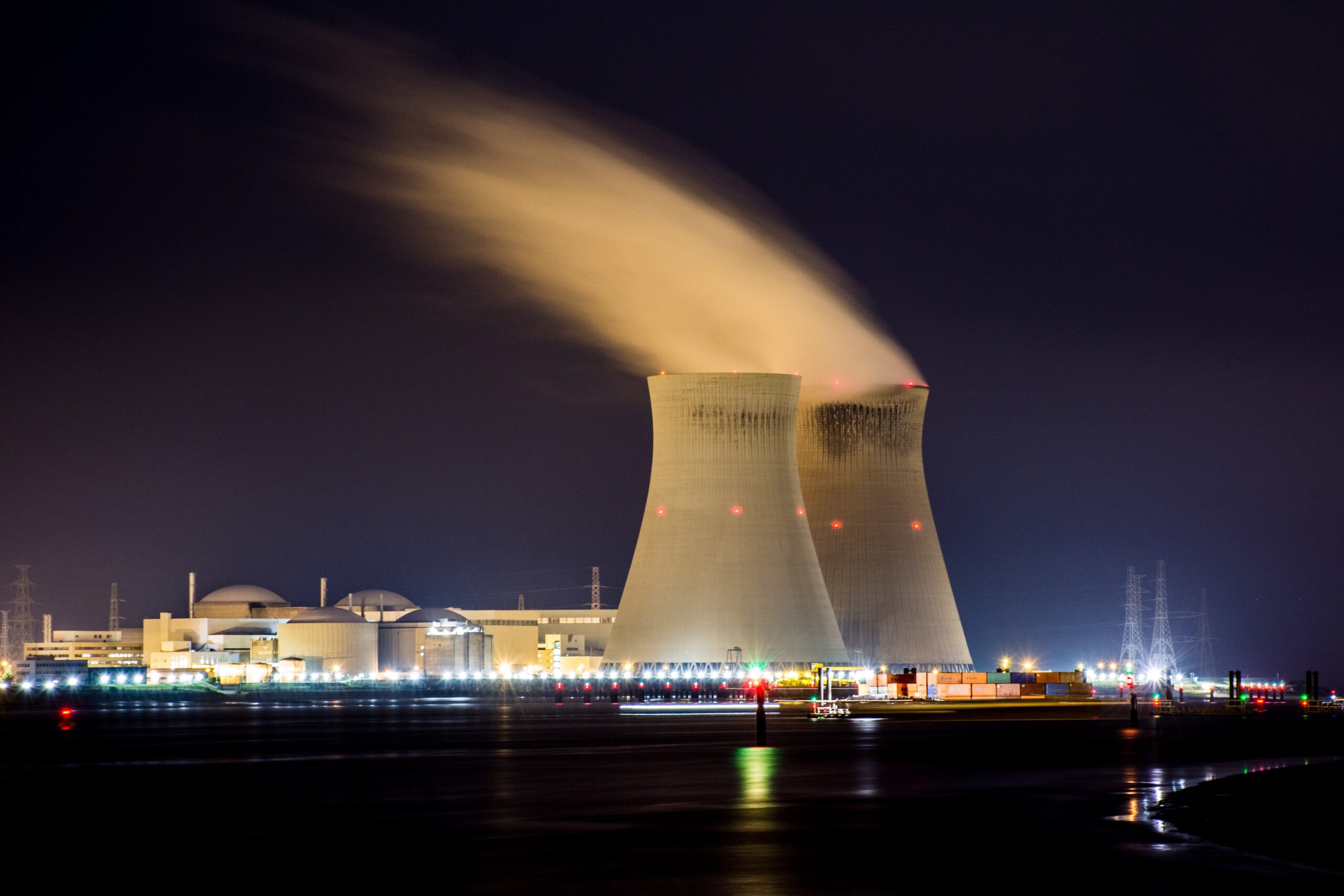 Nuclear power plant (NPP)